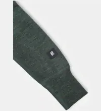 Reima, шерстяной комбинезон Parvin 5200037A-8510 (зеленый)-0